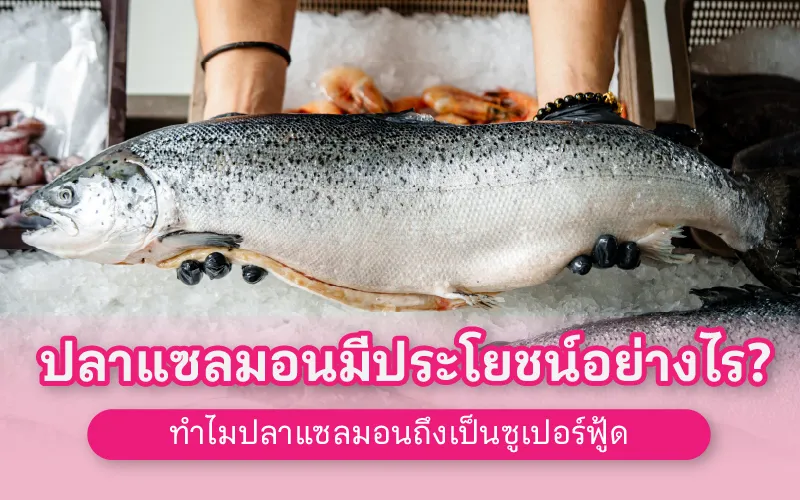 ปลาแซลมอนมีประโยชน์อย่างไร? และทำไมปลาแซลมอนถึงเป็นซูเปอร์ฟู้ด